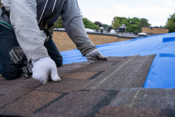 Roof Restoration in Marysville, WA
