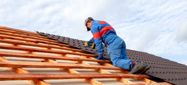 Best Asphalt Shingle Roofing  in Marysville, WA